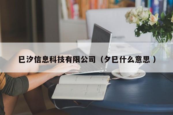 巳汐信息科技有限公司（夕巳什么意思 ）