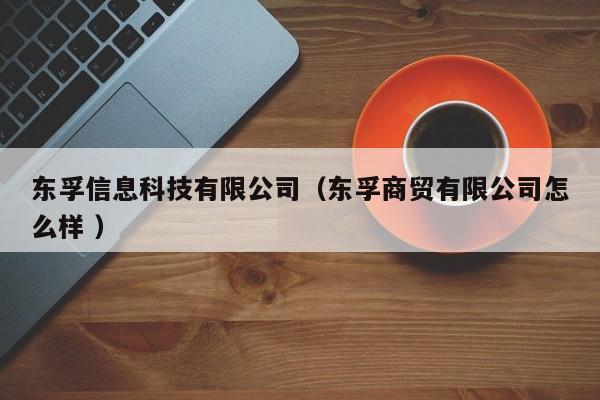 東孚信息科技有限公司（東孚商貿(mào)有限公司怎么樣 ）