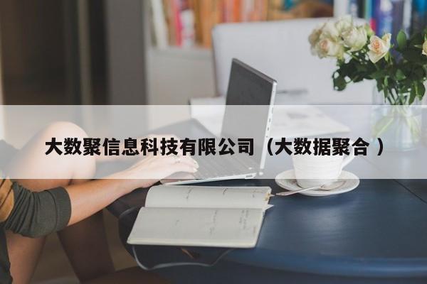 大數(shù)聚信息科技有限公司（大數(shù)據(jù)聚合 ）
